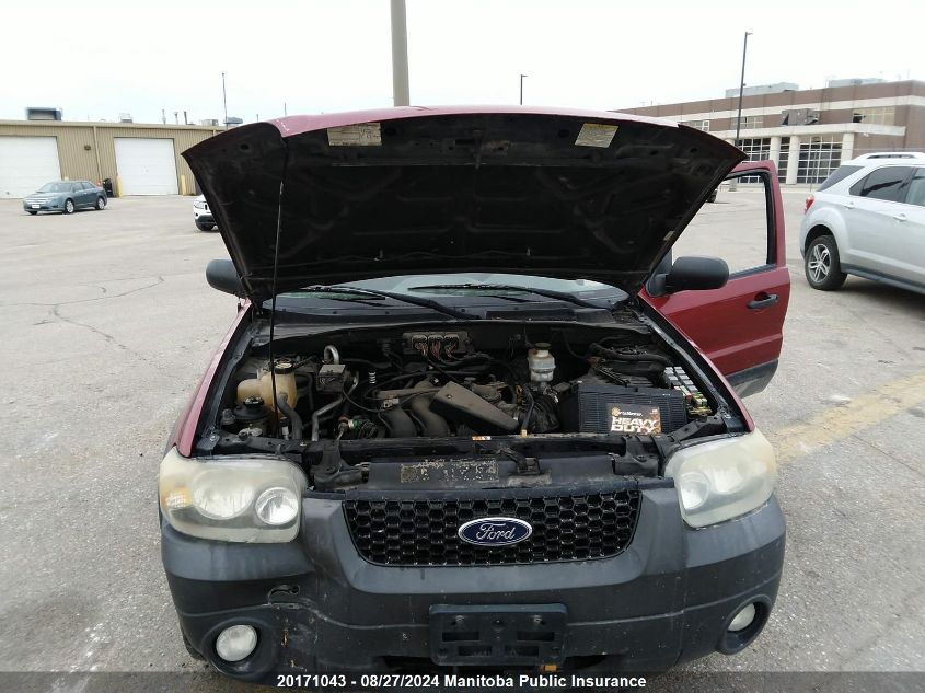 2007 Ford Escape Xlt V6 VIN: 1FMYU03127KA16898 Lot: 20171043