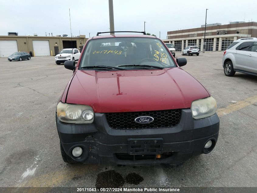 2007 Ford Escape Xlt V6 VIN: 1FMYU03127KA16898 Lot: 20171043