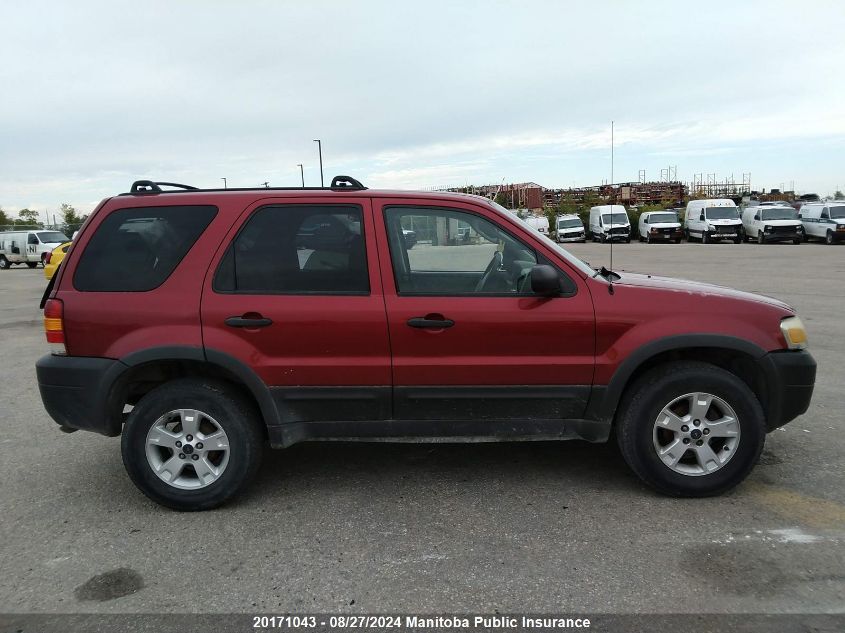 2007 Ford Escape Xlt V6 VIN: 1FMYU03127KA16898 Lot: 20171043