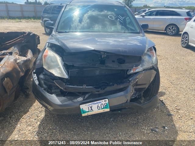 2011 Honda Cr-V Lx VIN: 5J6RE4H31BL810828 Lot: 20171243