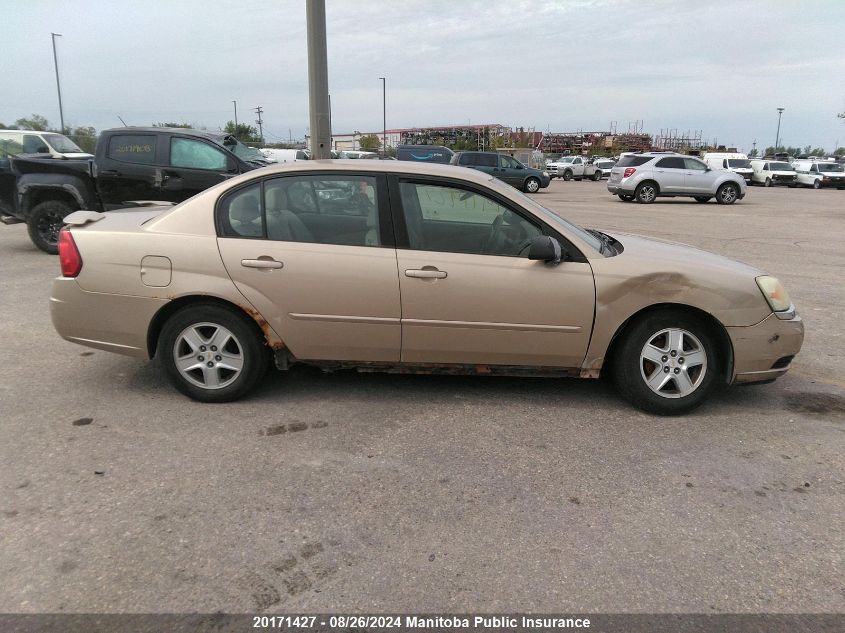 2005 Chevrolet Malibu VIN: 1G1ZS52F95F233078 Lot: 20171427