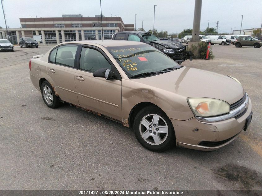 2005 Chevrolet Malibu VIN: 1G1ZS52F95F233078 Lot: 20171427