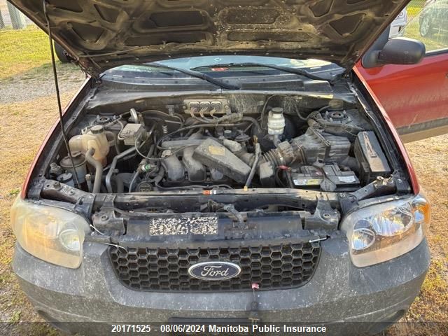 2006 Ford Escape Xlt V6 VIN: 1FMYU93126KD44549 Lot: 20171525