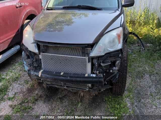 2010 Honda Cr-V Ex-L VIN: 5J6RE4H77AL800659 Lot: 20171802