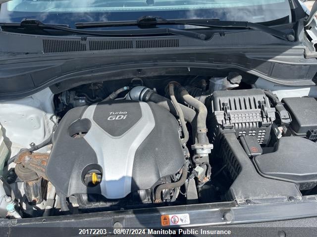 2013 Hyundai Santa Fe 2.0T VIN: 5XYZUDLA9DG031691 Lot: 20172203