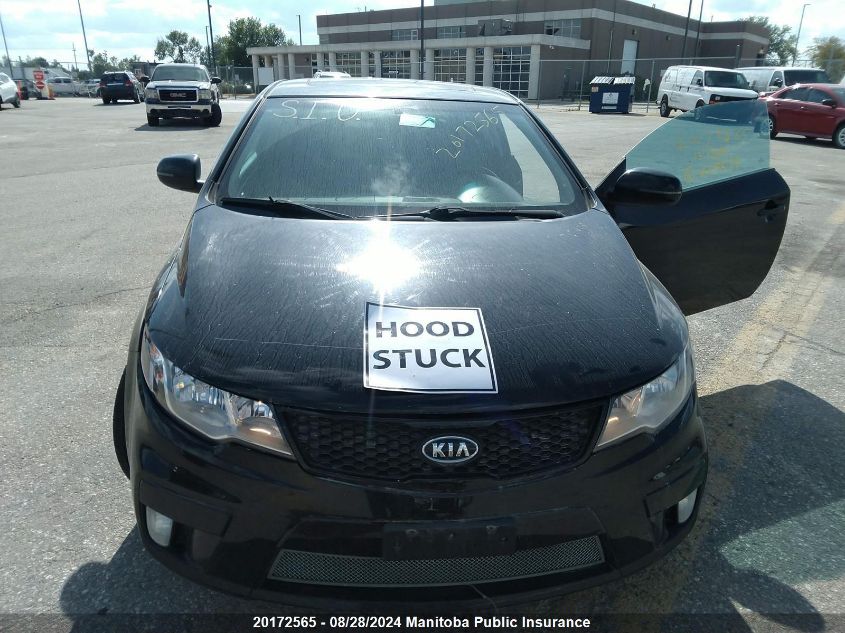 2013 Kia Forte Sx VIN: KNAFW6A33D5665579 Lot: 20172565