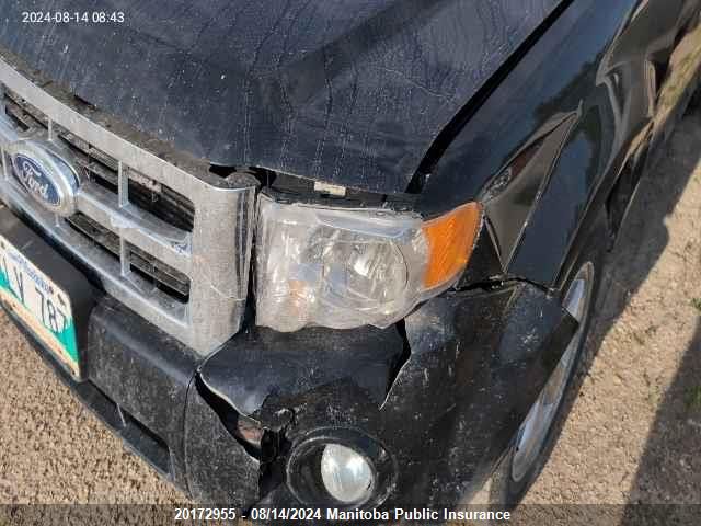 2010 Ford Escape Xlt V6 VIN: 1FMCU9DG1AKD35878 Lot: 20172955