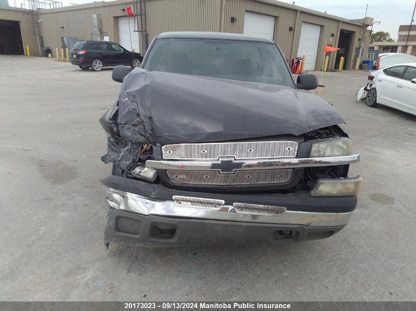 2004 Chevrolet Silverado 1500 VIN: 1GCEC14VX4Z321702 Lot: 20173023