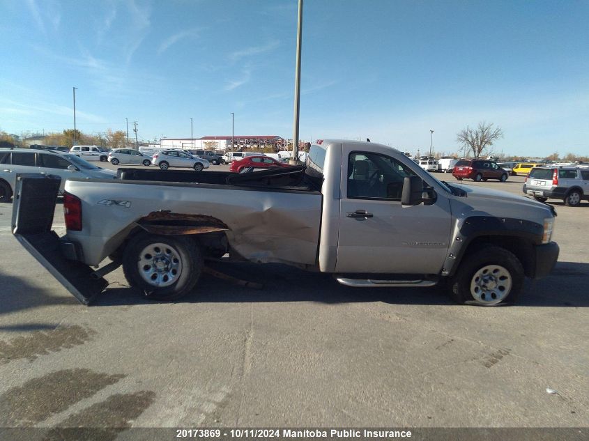 2009 Chevrolet Silverado 1500 Wt VIN: 1GCEK14C99Z267169 Lot: 20173869