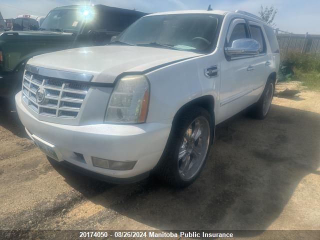 2009 Cadillac Escalade Hybrid VIN: 1GYFK43549R151008 Lot: 20174050