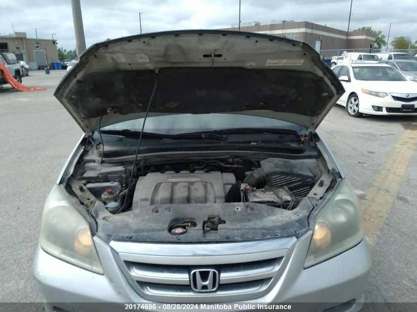 2005 Honda Odyssey Ex-L VIN: 5FNRL38605B505859 Lot: 20174696