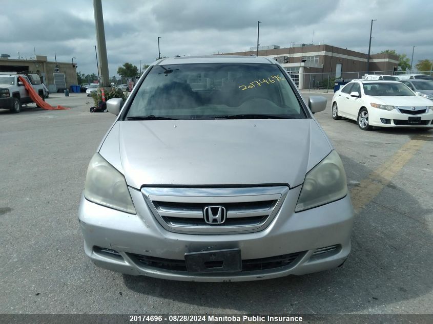 2005 Honda Odyssey Ex-L VIN: 5FNRL38605B505859 Lot: 20174696