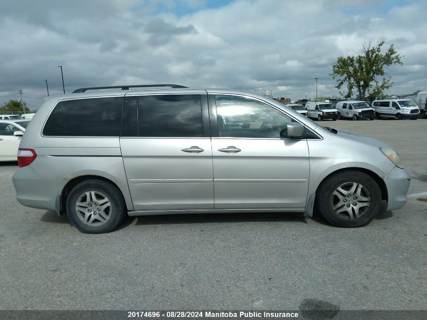 2005 Honda Odyssey Ex-L VIN: 5FNRL38605B505859 Lot: 20174696