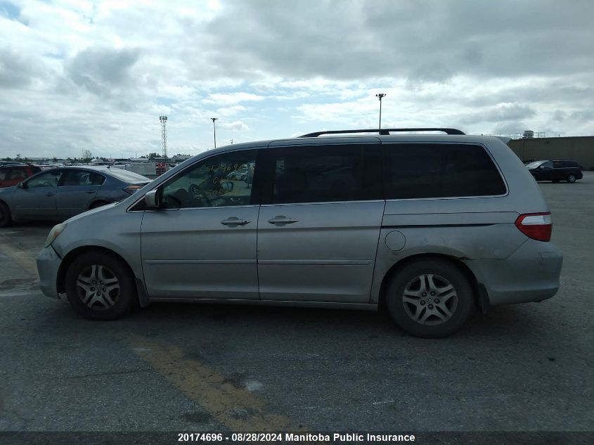 2005 Honda Odyssey Ex-L VIN: 5FNRL38605B505859 Lot: 20174696