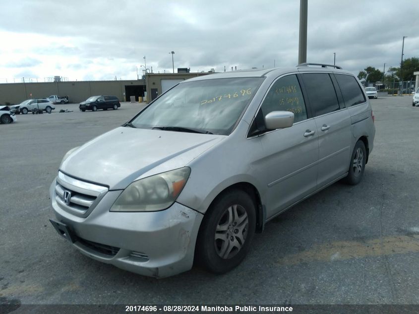 2005 Honda Odyssey Ex-L VIN: 5FNRL38605B505859 Lot: 20174696