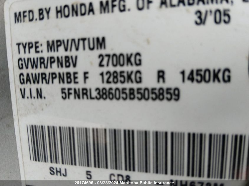 2005 Honda Odyssey Ex-L VIN: 5FNRL38605B505859 Lot: 20174696