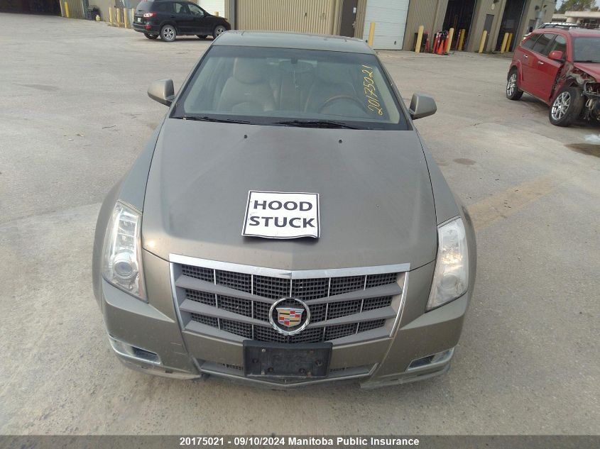 2010 Cadillac Cts 3.6L VIN: 1G6DL5EV7A0113118 Lot: 20175021