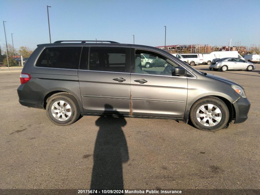 2007 Honda Odyssey Ex VIN: 5FNRL38457B501257 Lot: 20175674