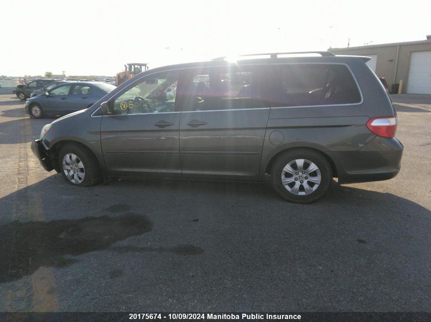 2007 Honda Odyssey Ex VIN: 5FNRL38457B501257 Lot: 20175674