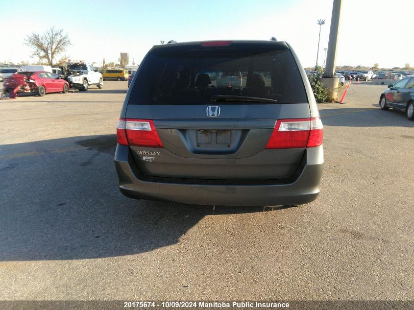 2007 Honda Odyssey Ex VIN: 5FNRL38457B501257 Lot: 20175674