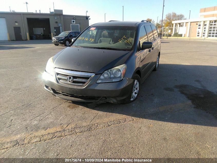 2007 Honda Odyssey Ex VIN: 5FNRL38457B501257 Lot: 20175674