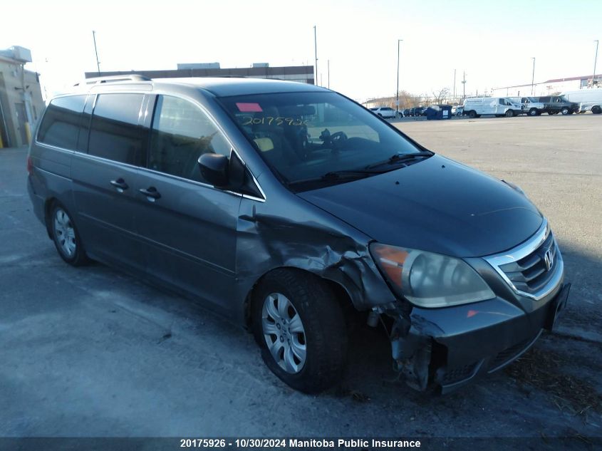 2009 Honda Odyssey Lx VIN: 5FNRL38249B503342 Lot: 20175926