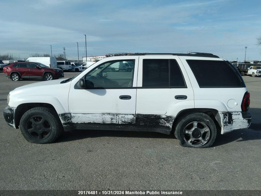 2008 Chevrolet Trailblazer Ls VIN: 1GNDT13S282208464 Lot: 20176481