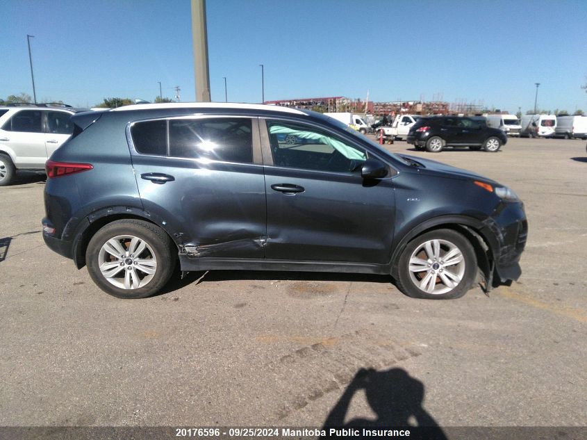 2017 Kia Sportage Lx VIN: KNDPMCAC8H7103974 Lot: 20176596