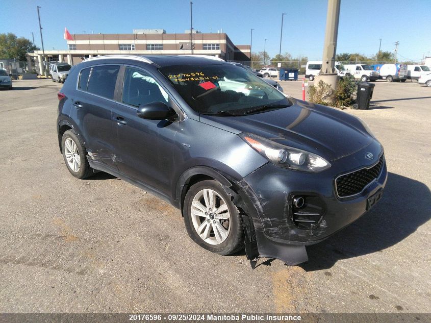 2017 Kia Sportage Lx VIN: KNDPMCAC8H7103974 Lot: 20176596