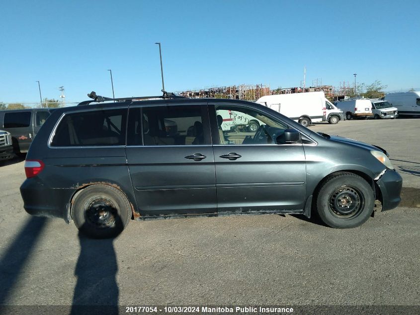 2005 Honda Odyssey Ex-L VIN: 5FNRL386X5B508879 Lot: 20177054