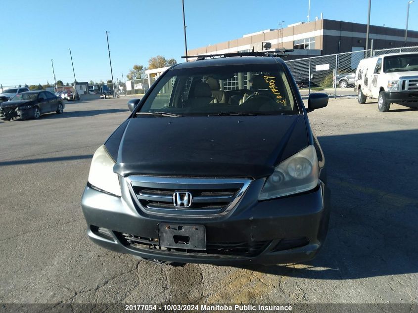 2005 Honda Odyssey Ex-L VIN: 5FNRL386X5B508879 Lot: 20177054