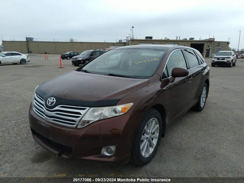 2009 Toyota Venza VIN: 4T3BE11A79U008614 Lot: 20177086