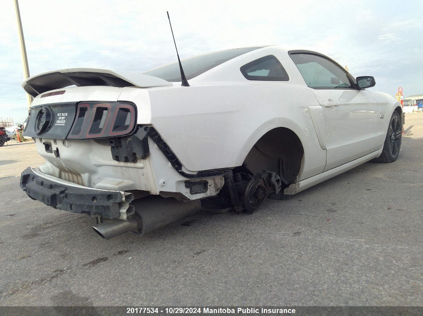 2013 Ford Mustang Gt VIN: 1ZVBP8CF3D5208219 Lot: 20177534