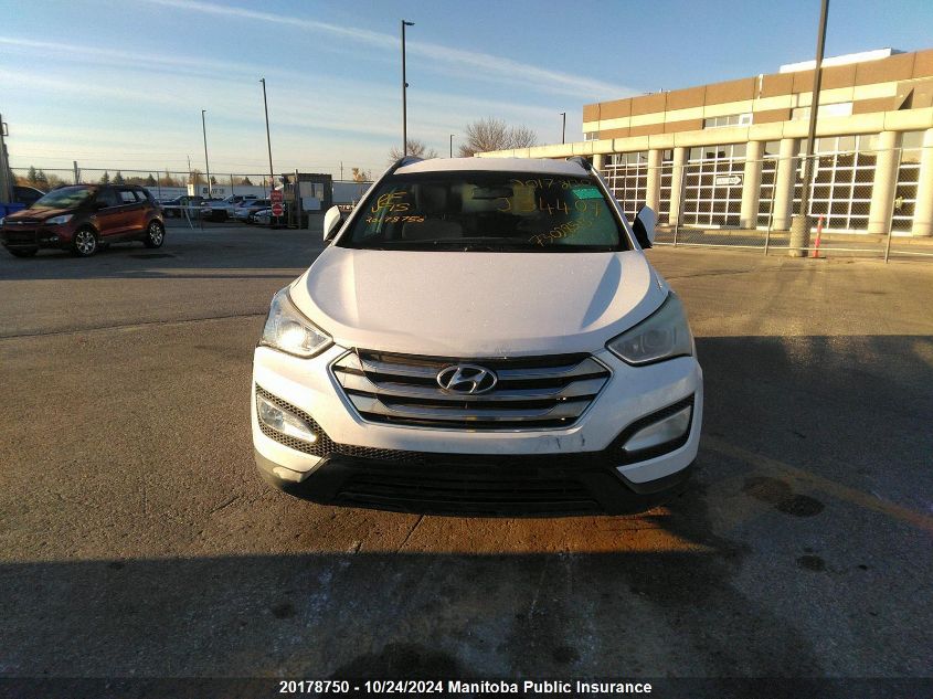 2014 Hyundai Santa Fe 2.4 Premium VIN: 5XYZUDLB8EG163822 Lot: 20178750