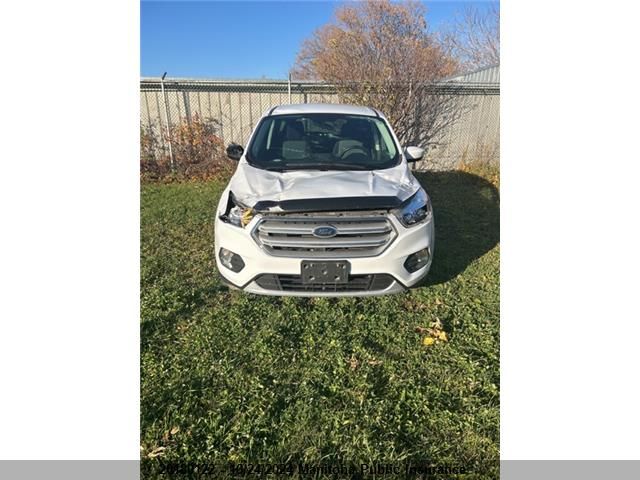 2019 Ford Escape Se VIN: 1FMCU0GDXKUA48445 Lot: 20180122