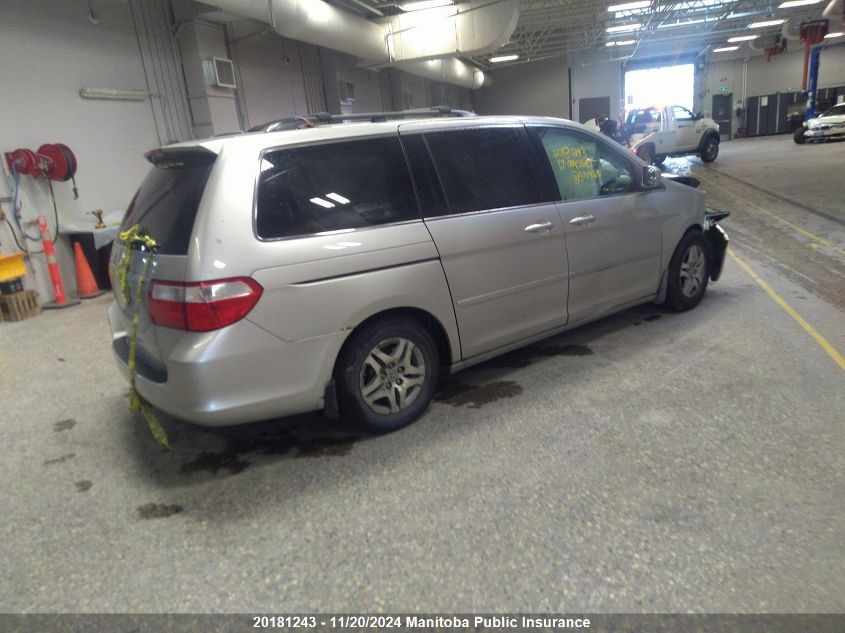 2007 Honda Odyssey Ex-L VIN: 5FNRL386X7B500428 Lot: 20181243