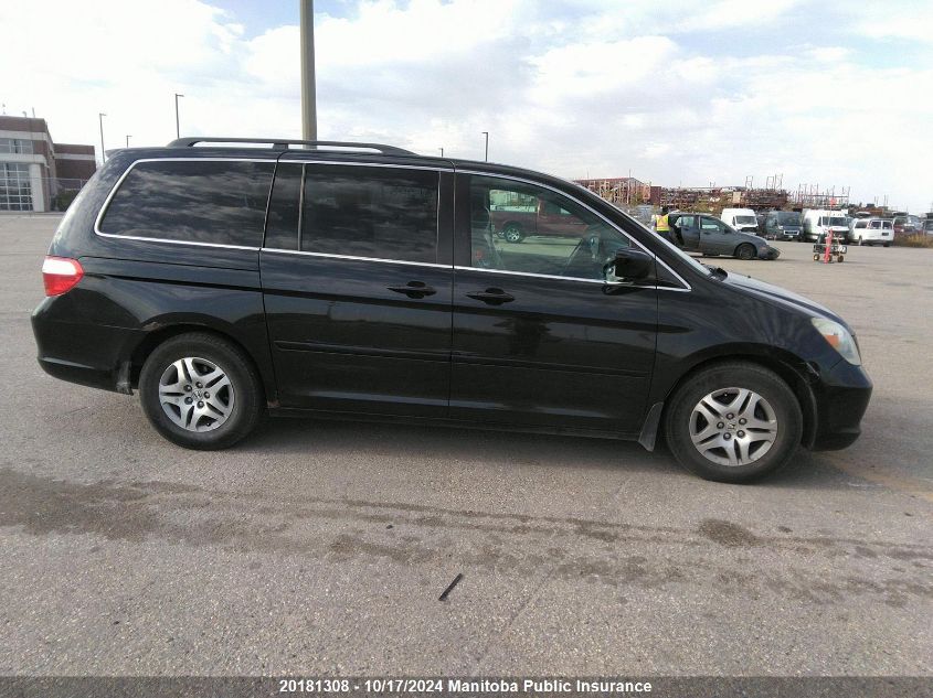 2005 Honda Odyssey Ex-L VIN: 5FNRL38685B509206 Lot: 20181308