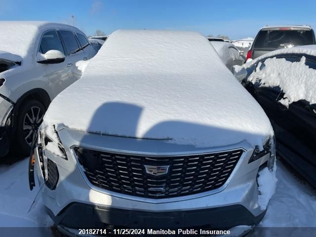 2019 Cadillac Xt4 VIN: 1GYFZDR42KF184767 Lot: 20182714