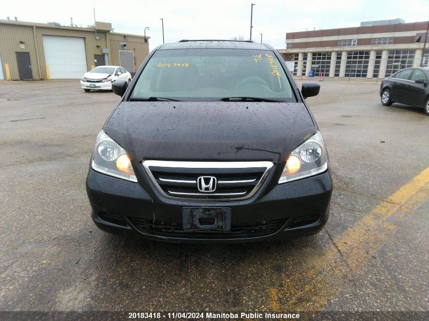 2007 Honda Odyssey Ex-L VIN: 5FNRL386X7B502261 Lot: 20183418