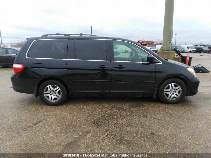 2007 Honda Odyssey Ex-L VIN: 5FNRL386X7B502261 Lot: 20183418