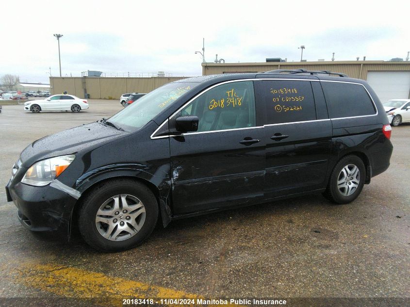 2007 Honda Odyssey Ex-L VIN: 5FNRL386X7B502261 Lot: 20183418