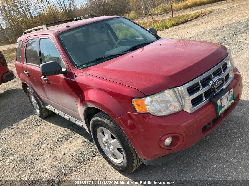 2011 Ford Escape Xlt V6 VIN: 1FMCU9DG1BKA64323 Lot: 20185171