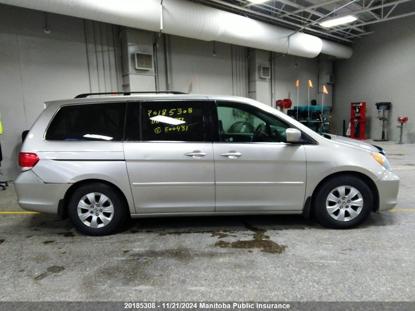 2008 Honda Odyssey Ex VIN: 5FNRL384X8B500431 Lot: 20185308