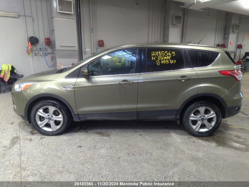 2014 Ford Escape Se VIN: 1FMCU9GX8EUA55817 Lot: 20185565