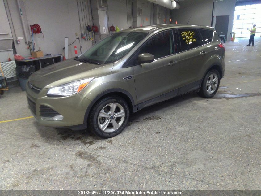 2014 Ford Escape Se VIN: 1FMCU9GX8EUA55817 Lot: 20185565