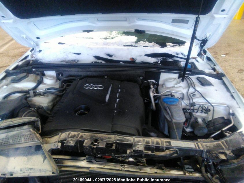 2014 Audi A4 2.0T Quattro VIN: WAUBFCFLXEN013064 Lot: 20189044