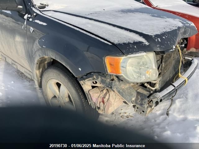 2008 Ford Escape Xlt