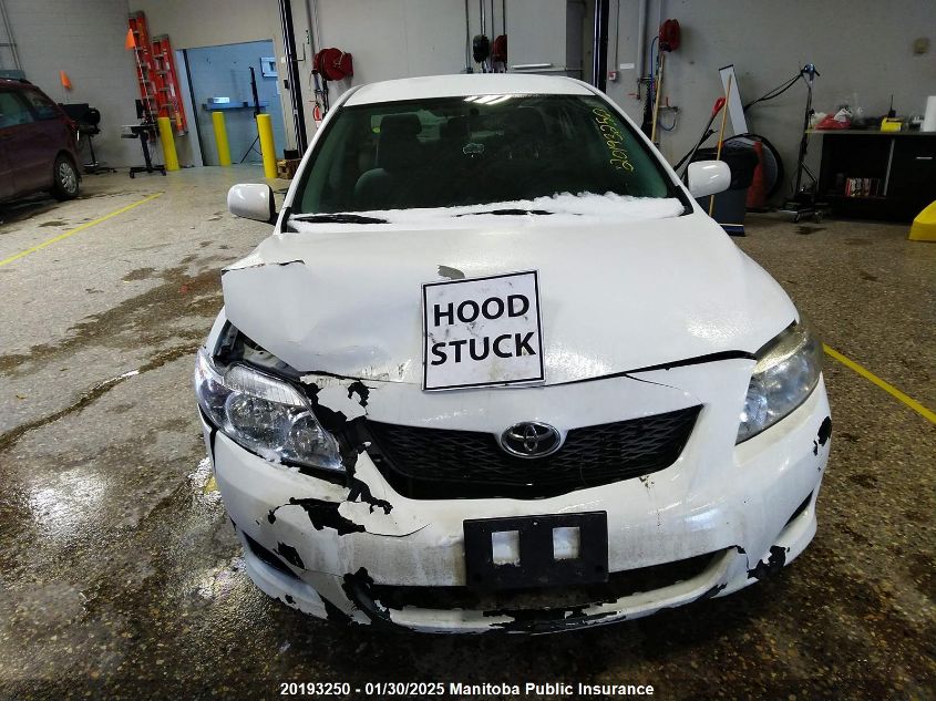 2010 Toyota Corolla Ce VIN: 2T1BU4EE6AC439221 Lot: 20193250