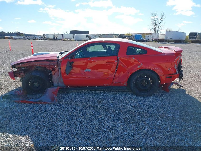 2006 Ford Mustang VIN: 1ZVFT80N265183809 Lot: 20195010