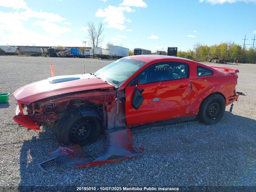 2006 Ford Mustang VIN: 1ZVFT80N265183809 Lot: 20195010